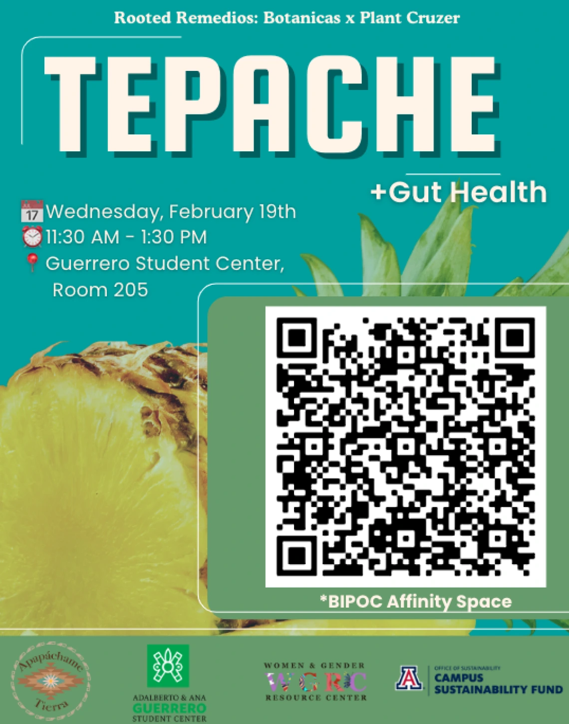 TEPACHE and Gut Health 